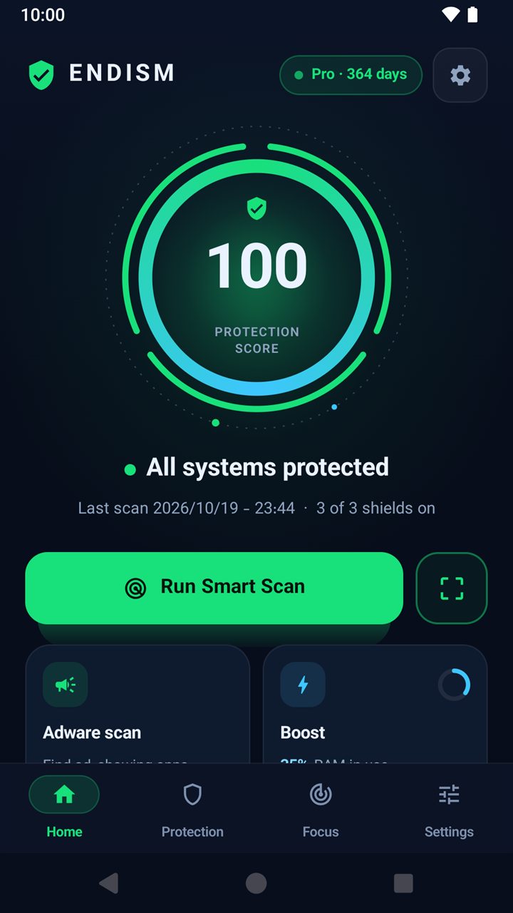 ENDISM home screen showing a protection score of 100 and all systems protected